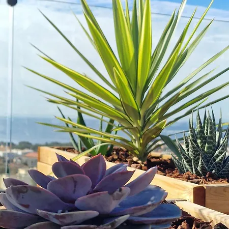 Le Rooftop Face A Bendor -terrasse 100m2 Vue Apartamento Bandol